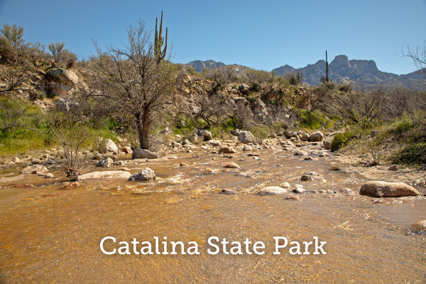 A wash flows with water through a rocky desert landscape. Desert scrub and saguaros border the wash while the Catalina Mountains tower in the background. Text over the photo reads Catalina State Park.