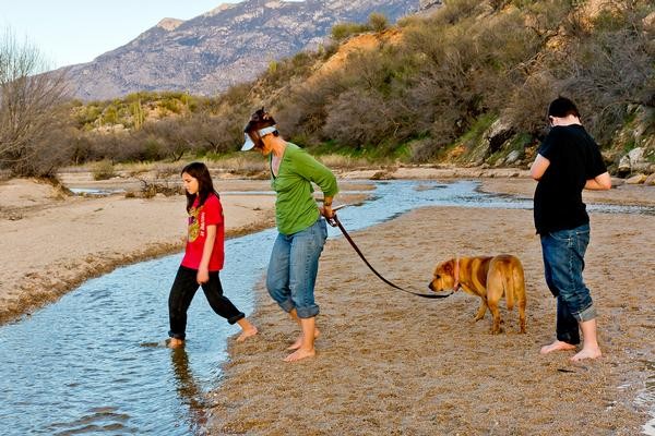 Sutherland Wash flowing, with three people and a leashed dog crossing at Catalina State Park