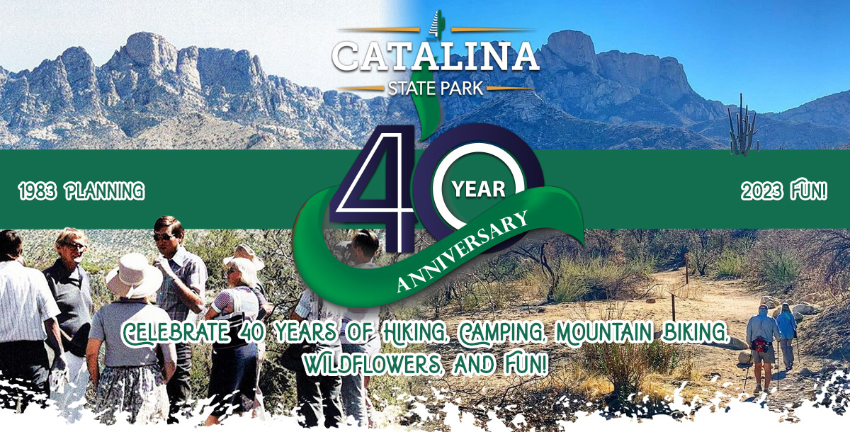 park-banner