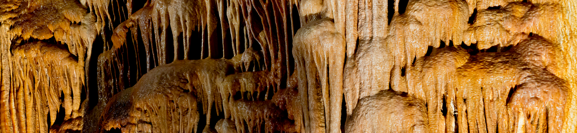 Shield formations inside Kartchner Caverns