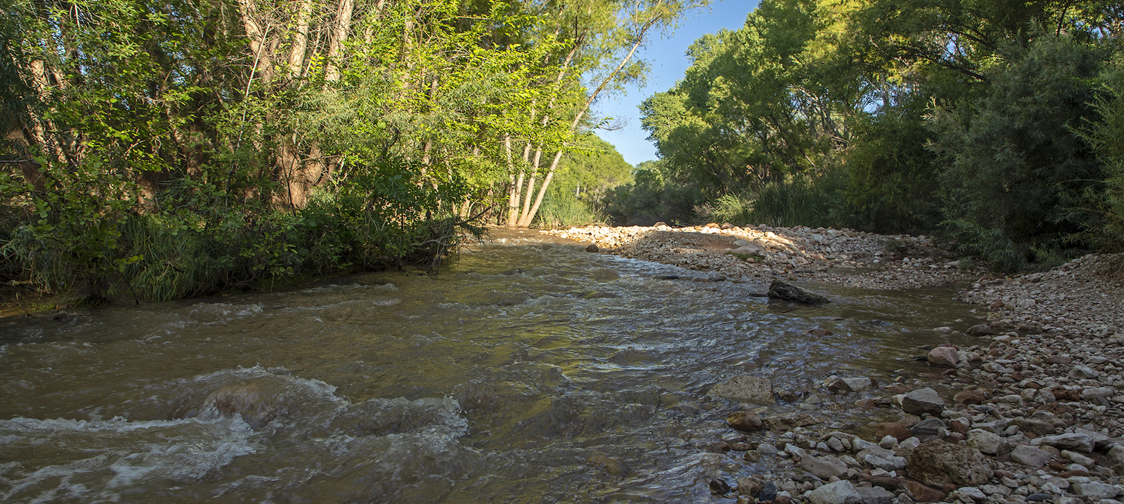 A lush view of the flowing Verde River, with trees on one side and a rocky beach on the other