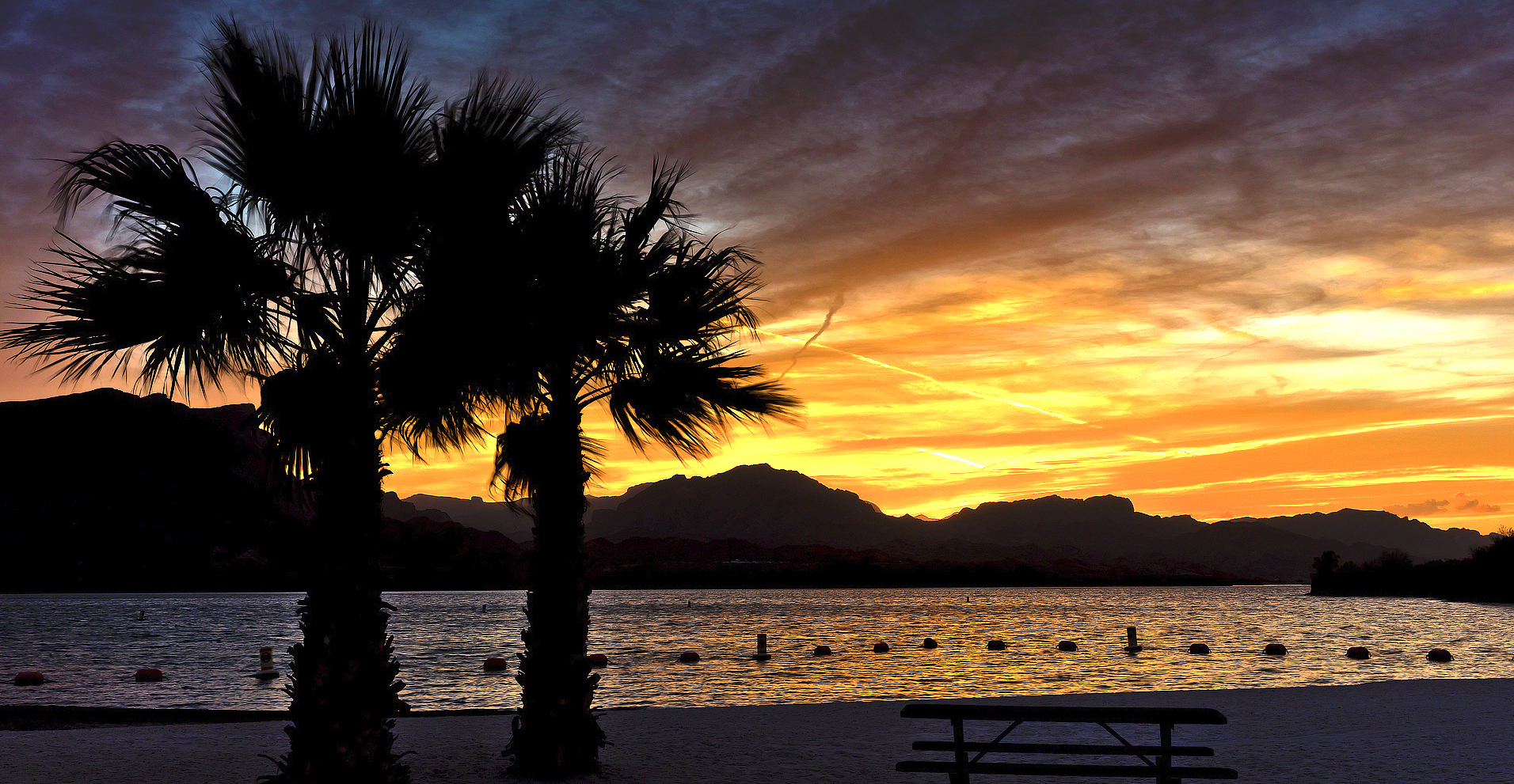 A sunset behind palm trees at Cattail Cove State Park