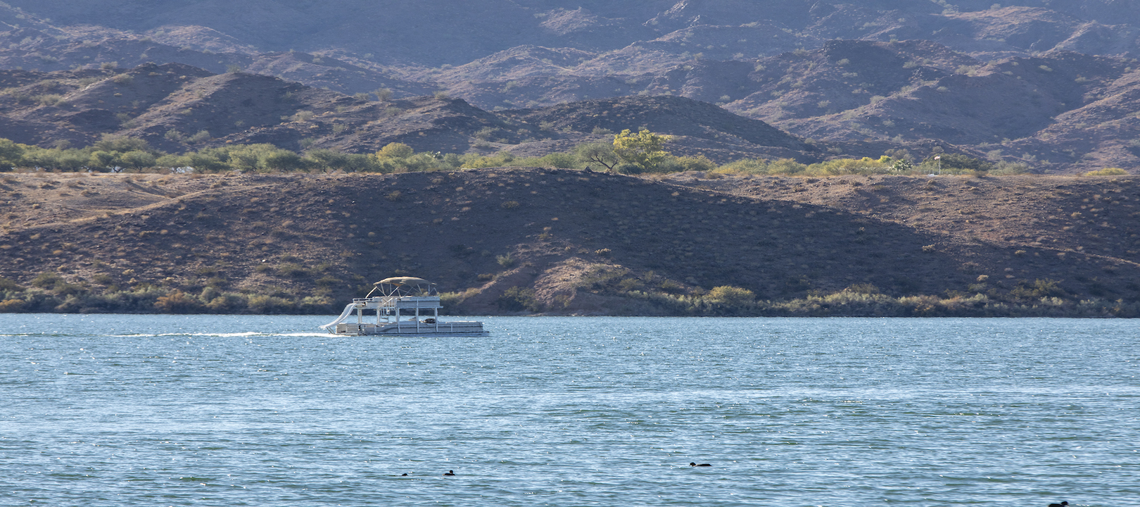 A boat on the Colorado River at Cattail Cove State Park
