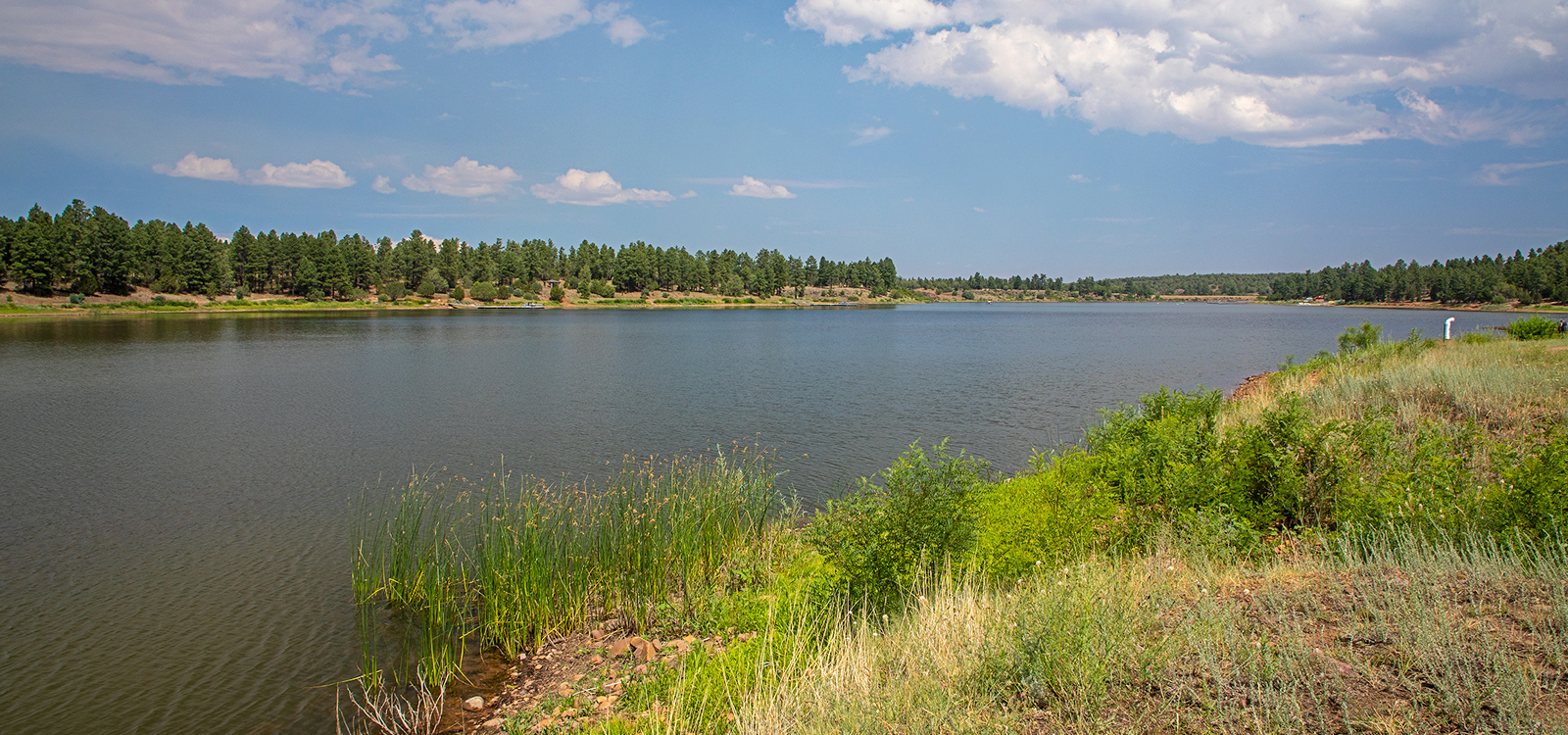 The lake stretching into the distance at Fool Hollow Lake Recreation Area