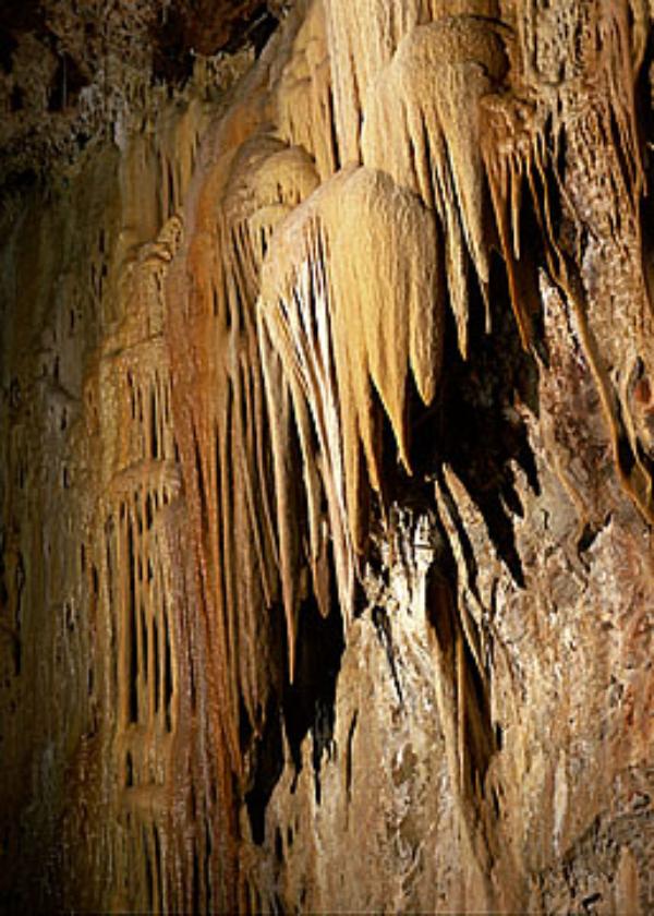 Kartchner Caverns shield formations