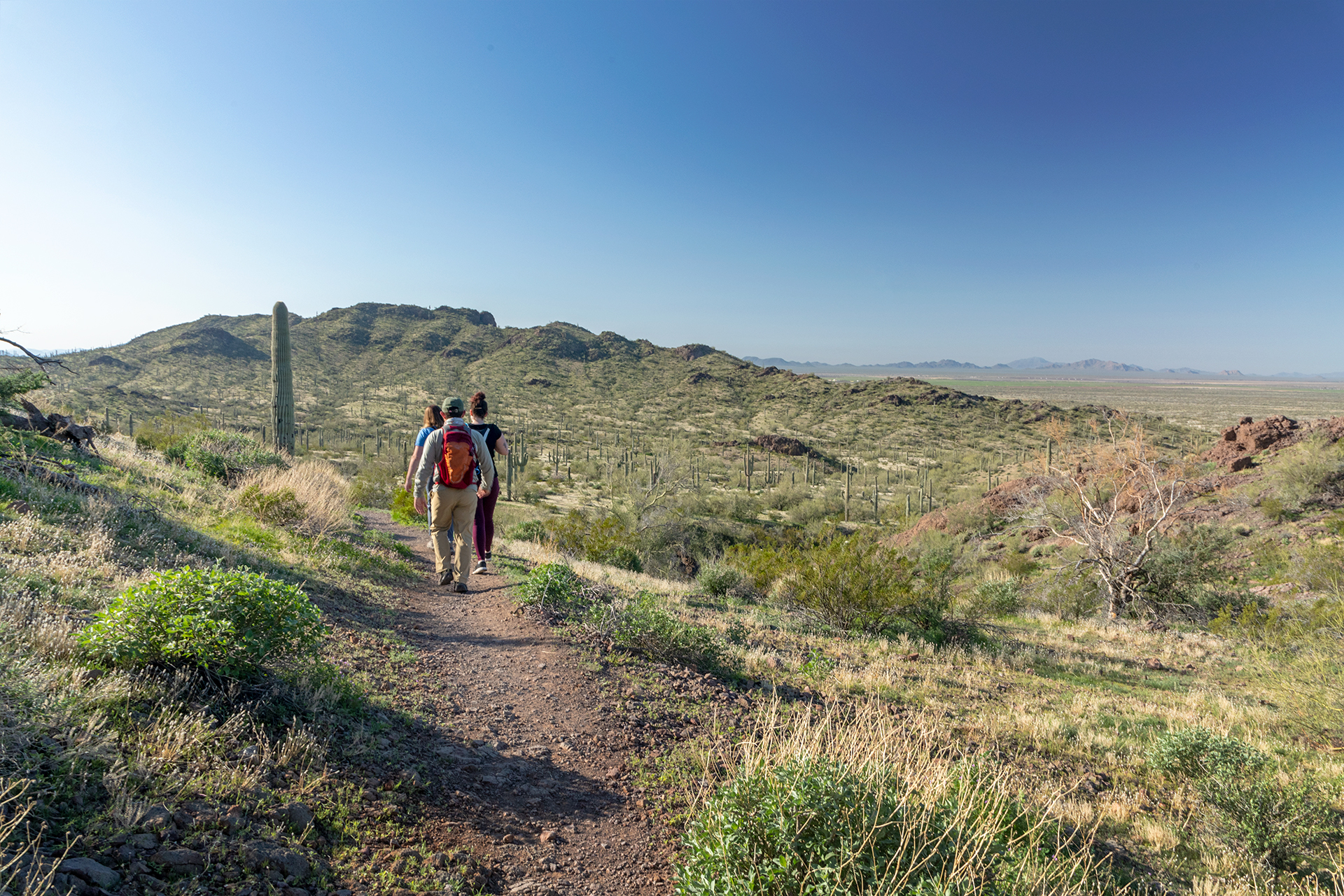 Find a hiking trail for every skill level, from easy walks to tough climbs!