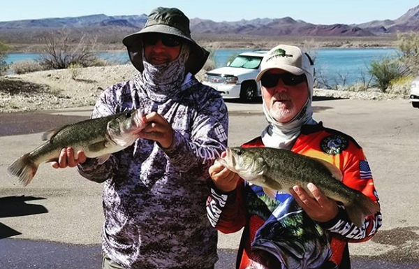 Two men hold their bass after fishing at Alamo Lake