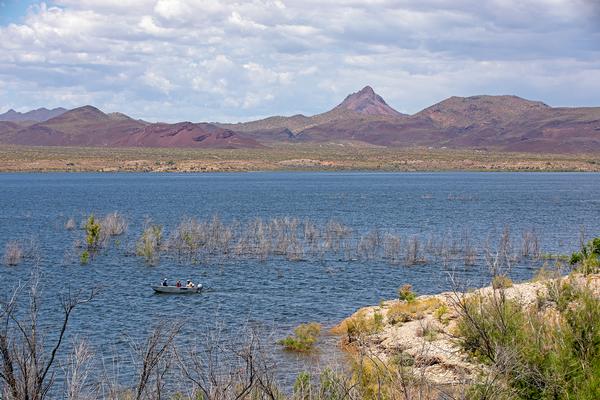 A fishing boat floats through the blue water at Alamo Lake State Park
