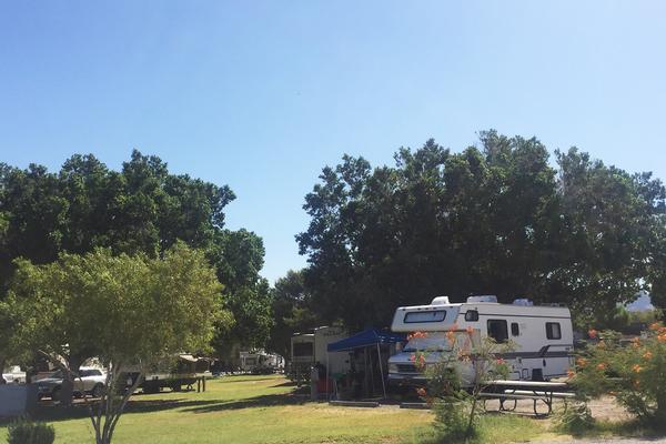 An RV in the shady campground at Buckskin Mountain along the Colorado River