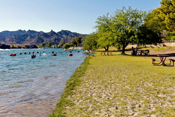 Buckskin Mountain Swimming in the Colorado River