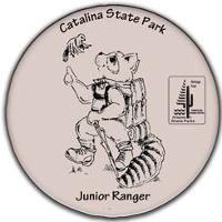 Junior Ranger Button featuring Rocky Ringtail