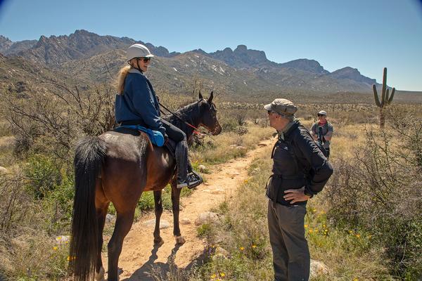 An equestrian stops her horse for other hikers along one of the horseback riding trails at Catalina State Park Southern Arizona
