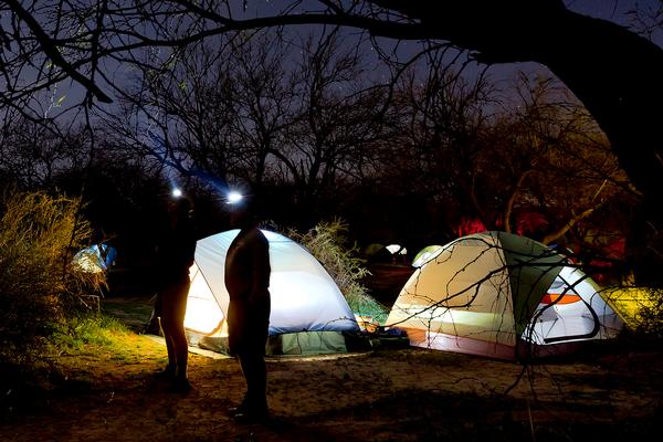 People wearing headlamps stand outside their glowing tents at night while camping in Arizona