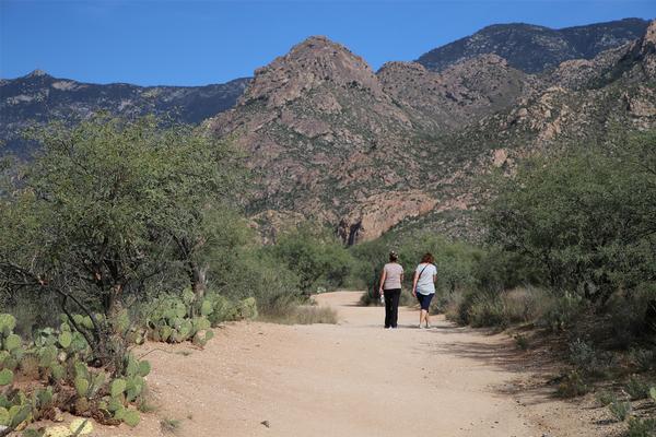 Hiking Trails at Catalina State Park