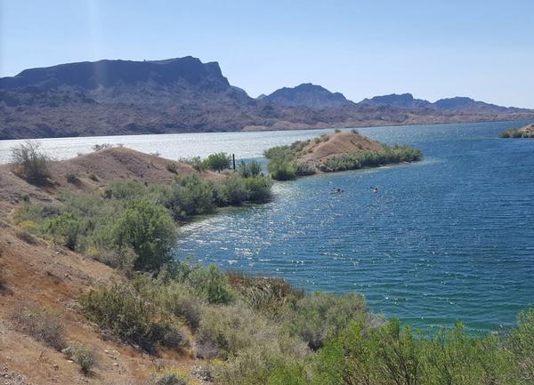 The trail overlooking Lake Havasu at Cattail Cove State Park