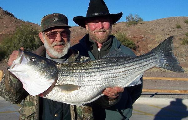 Two men hold a giant Cattail Cove State Park Striped Bass
