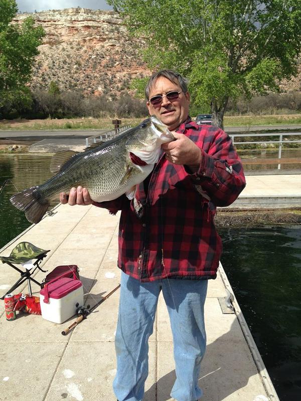 Trophy largemouth bass from one of the lagoons at Dead Horse Ranch