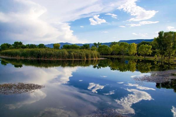 A blue sky with clouds reflects off the water of the lagoons at Dead Horse Ranch State Park