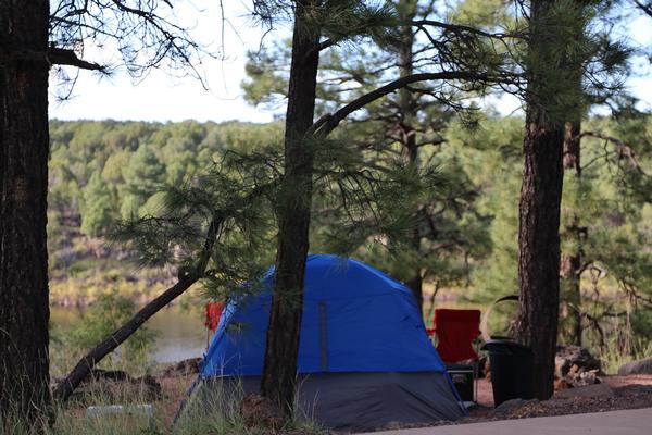 A tent campground nestled in the pines at Fool Hollow Lake