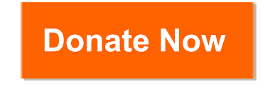 Donate Now button