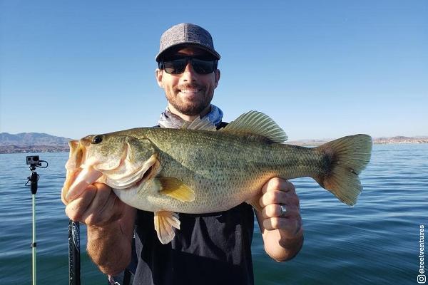 An angler holds a bass at Lake Havasu 