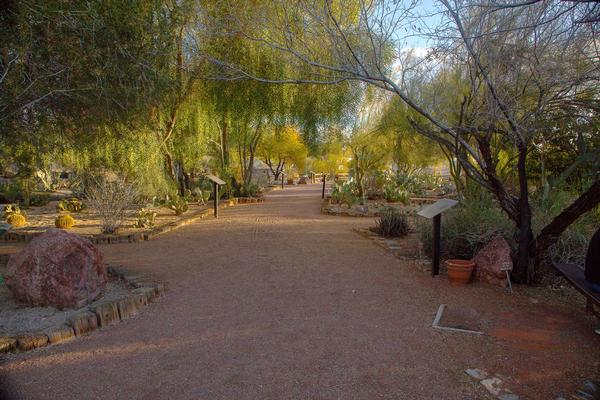The Arroyo-Camino Interpretive Garden path
