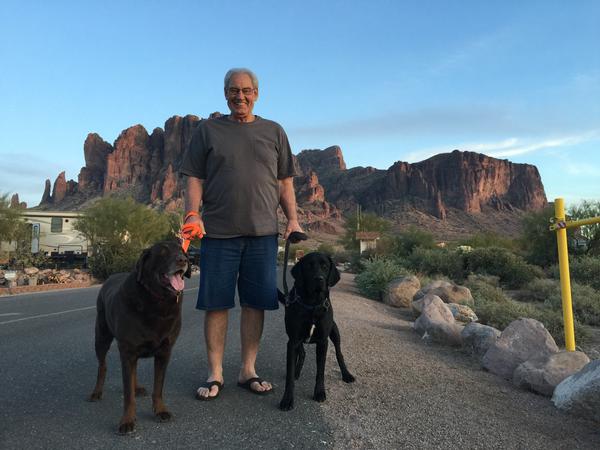 A man hiking in Lost Dutchman state park with two black Labrador-mix dogs on leashes.