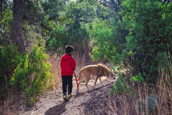 A child and a leashed dog walk along a greenery-lined trail at Oracle State Park