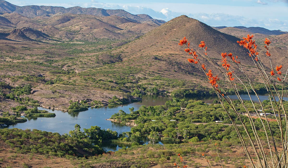 Places to visit in Arizona- Patagonia Lake