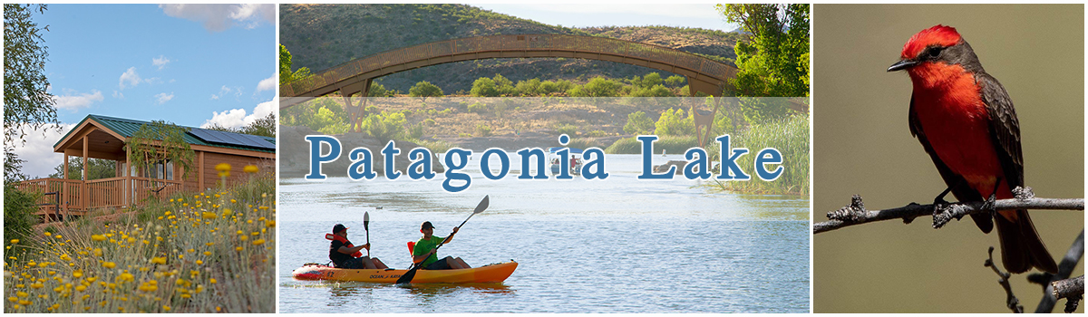 Arizona Lakes- Patagonia Lake