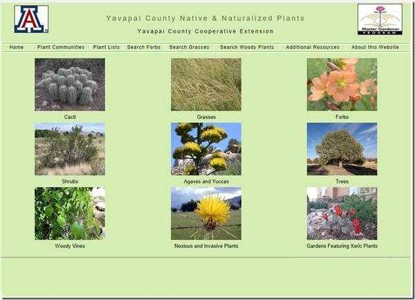 Yavapai County Native and Naturalized Plants