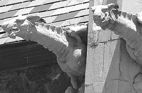 Close up of gargoyles on Nativity of the Blessed Virgin Mary. Photo by Tony Schierl.