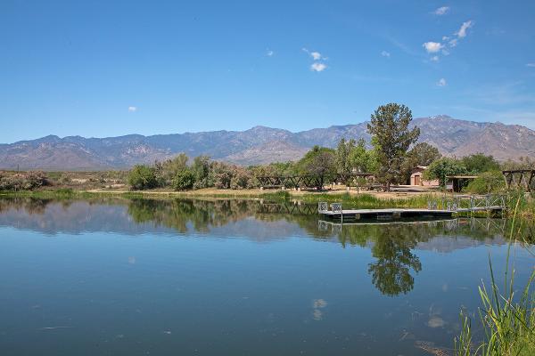 A view of Dankworth Pond with mountains in the background.