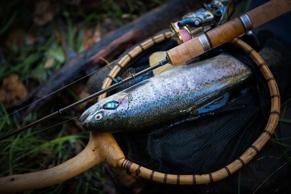 A fish lies on fishing equipment