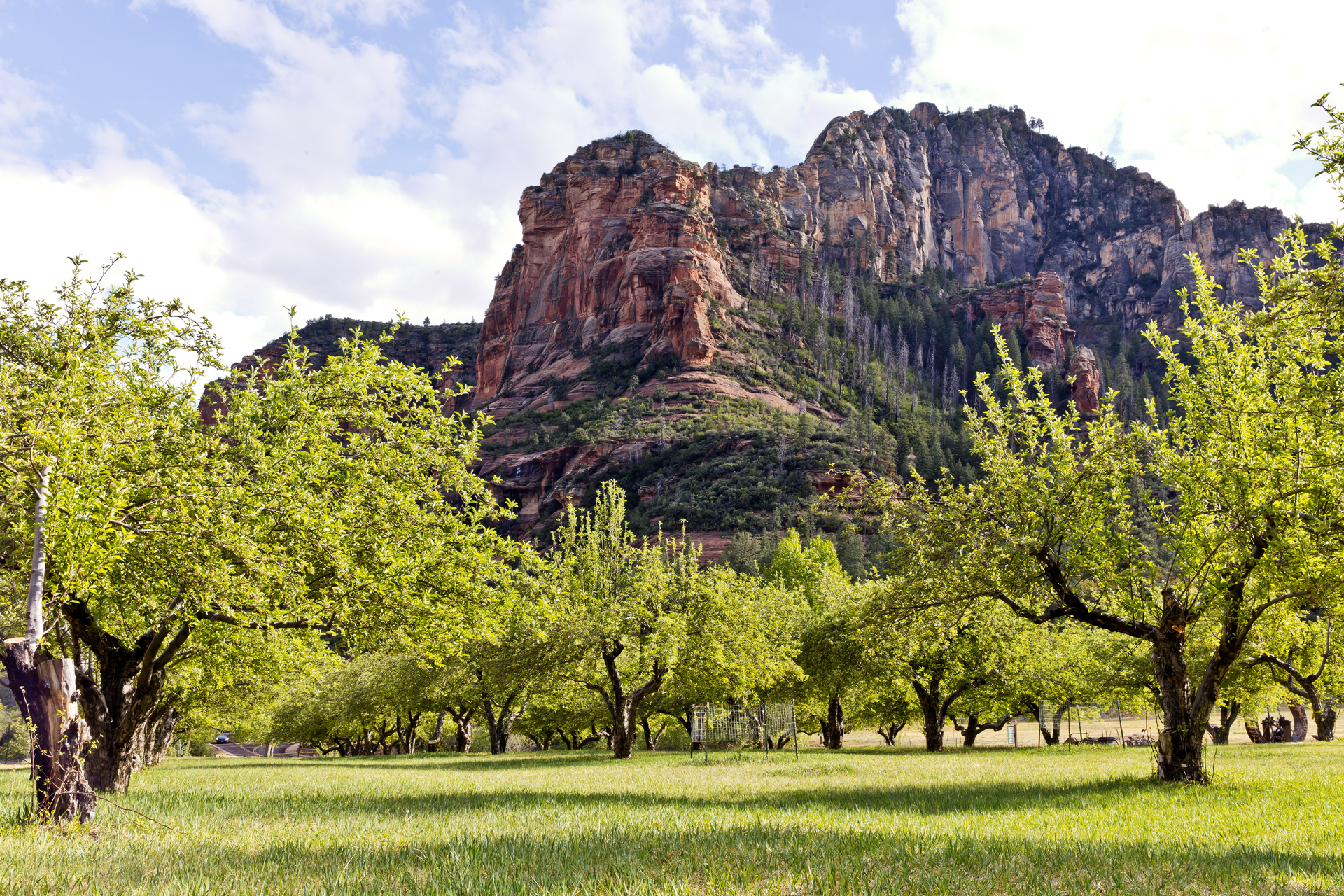 Slide Rock State Park has nearly 300 apple trees