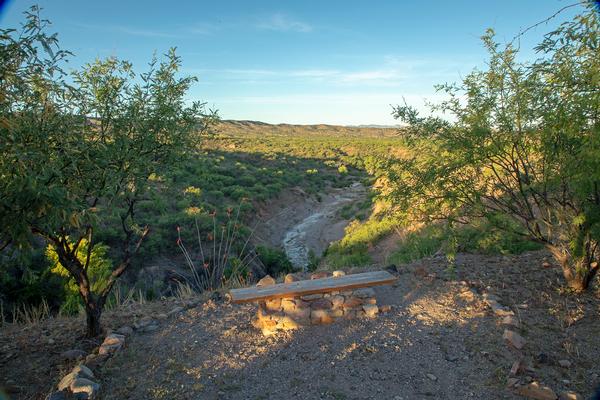 A bench along the trail overlooking the Sonoita Creek State Natural Area