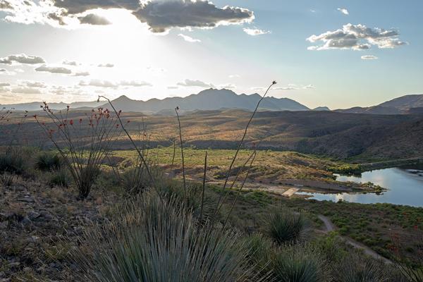 A sprawling view with sunbeams over the Sonoita Creek State Natural Area