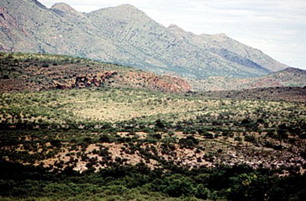Sonoita Creek State Natural Area in 1993