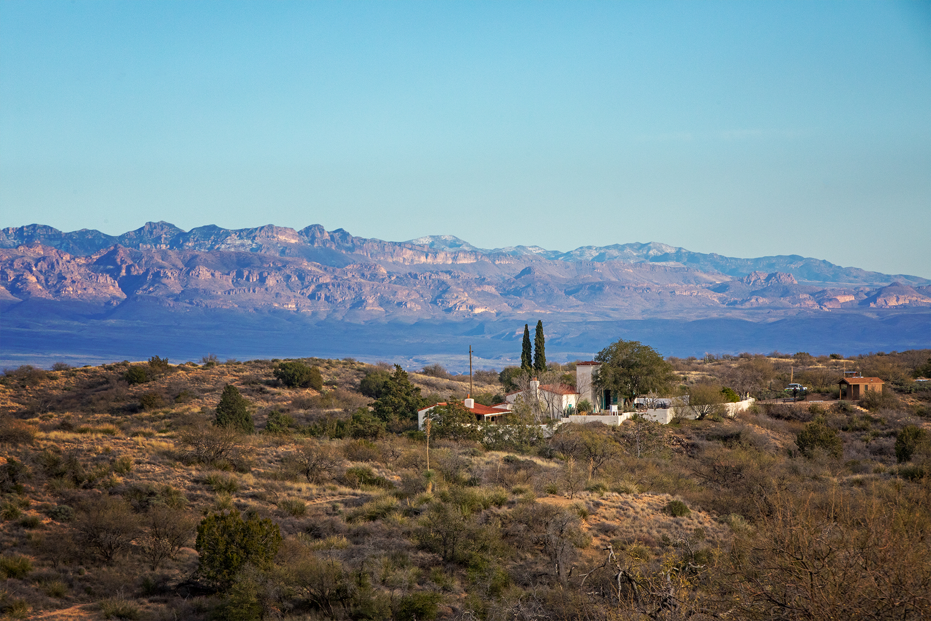 A landscape view of the desert vegetation surrounding the Kanally Ranch House, distinguished by the two cypress trees towering next to it. In the distance stands the Galiuero Mountain range.