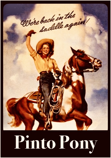 A flyer for the band Pinto Pony that depicts an old-western style scene of a cowgirl in the saddle of a pinto pony. Text reads 