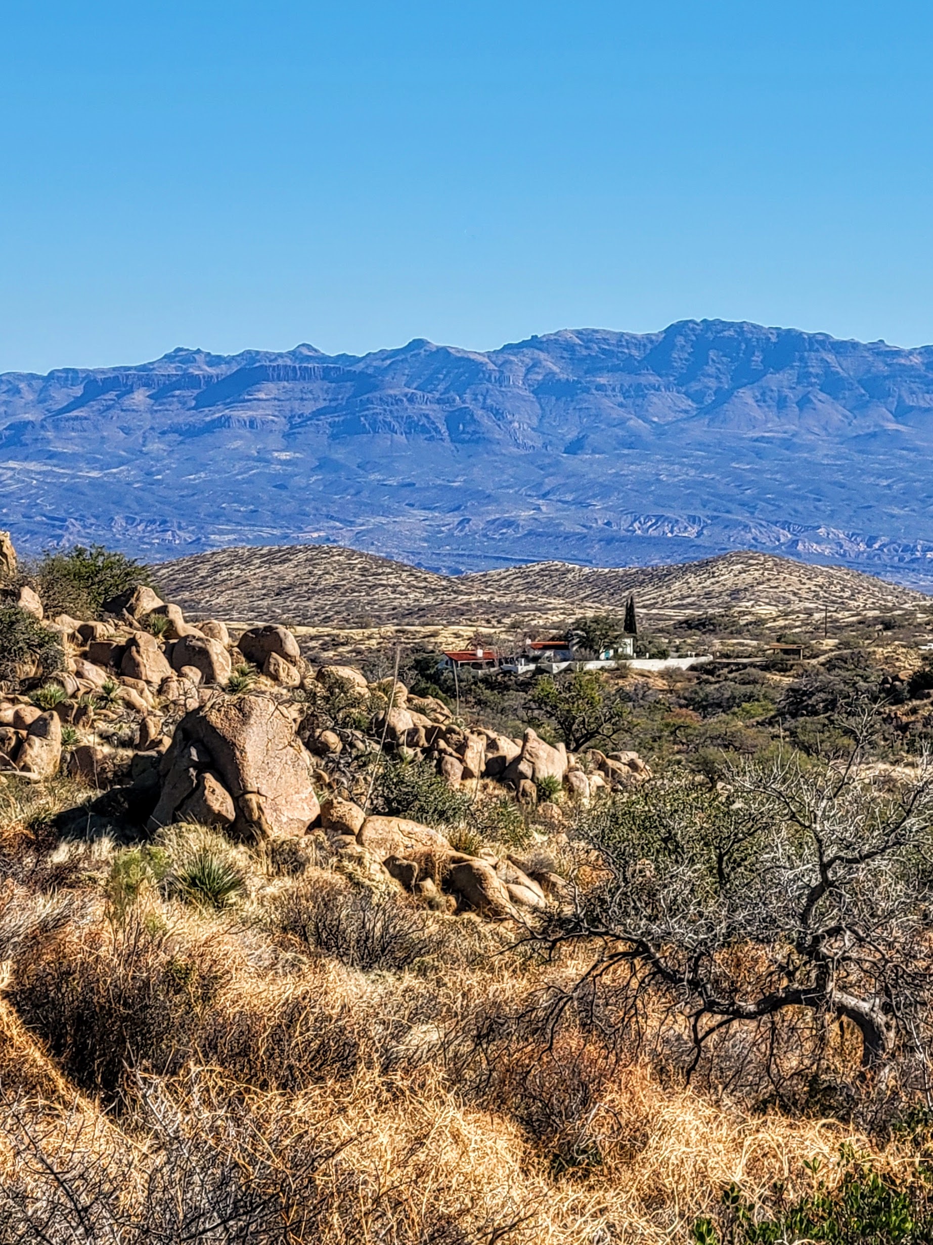 Sedimentary rock known as Pinal Schist in Oracle State Park