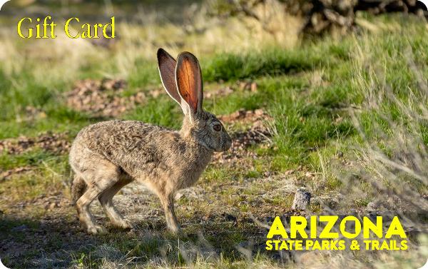 Arizona State Parks Gift Card with a jackrabbit 