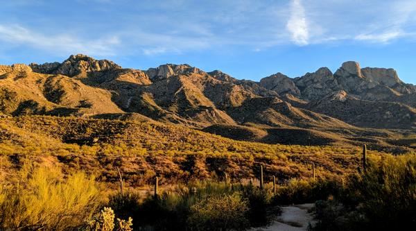 Catalina State Park trail system