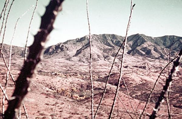 The foothills viewed through Ocotillo in 1974