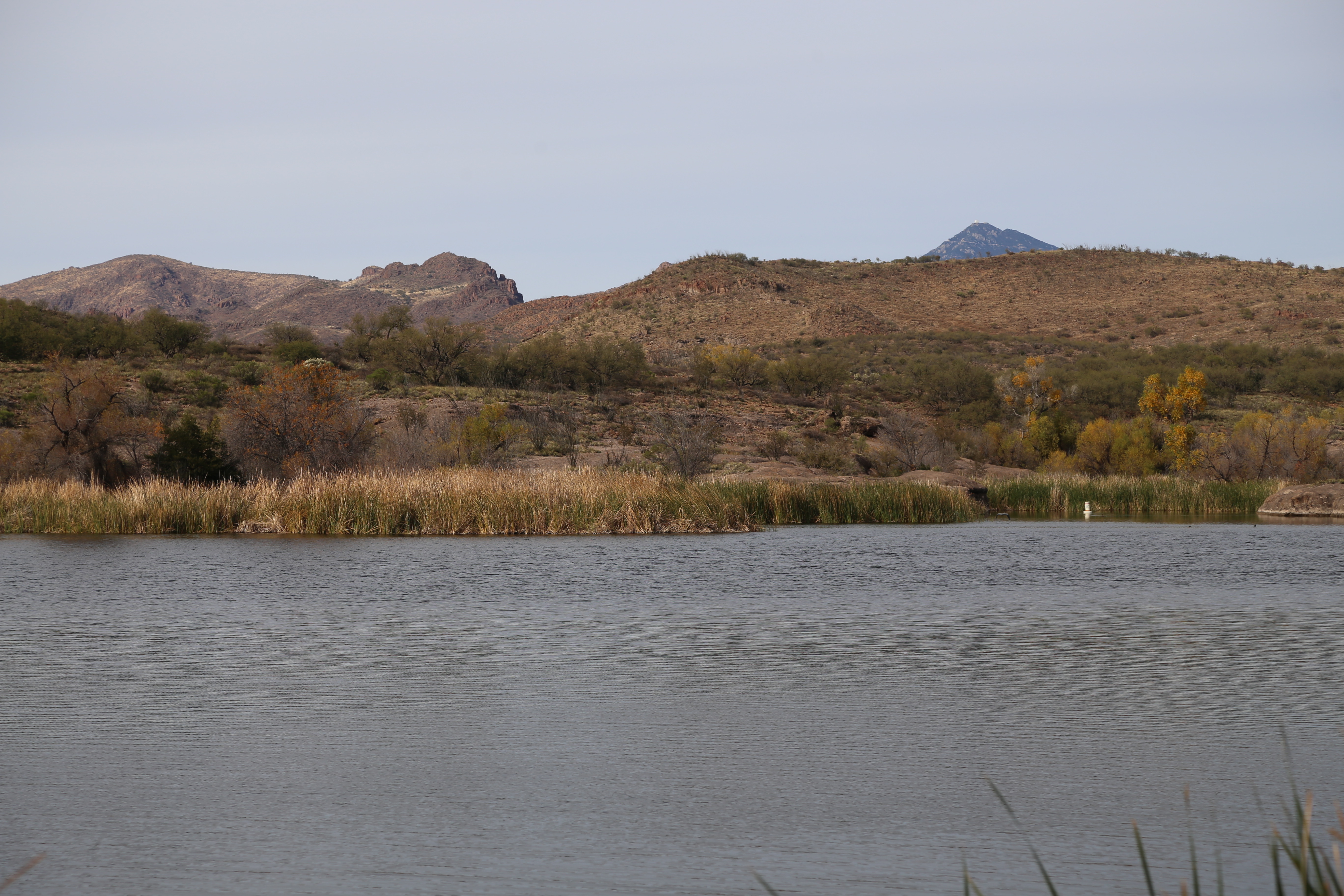 Panoramic view of Patagonia Lake. Santa Rita Mountains in the background