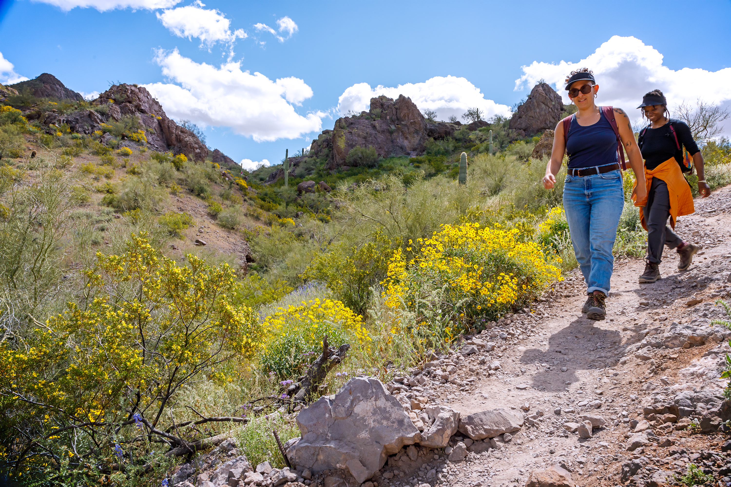 Two women walk on a desert trail that is bordered by yellow brittlebush flowers.