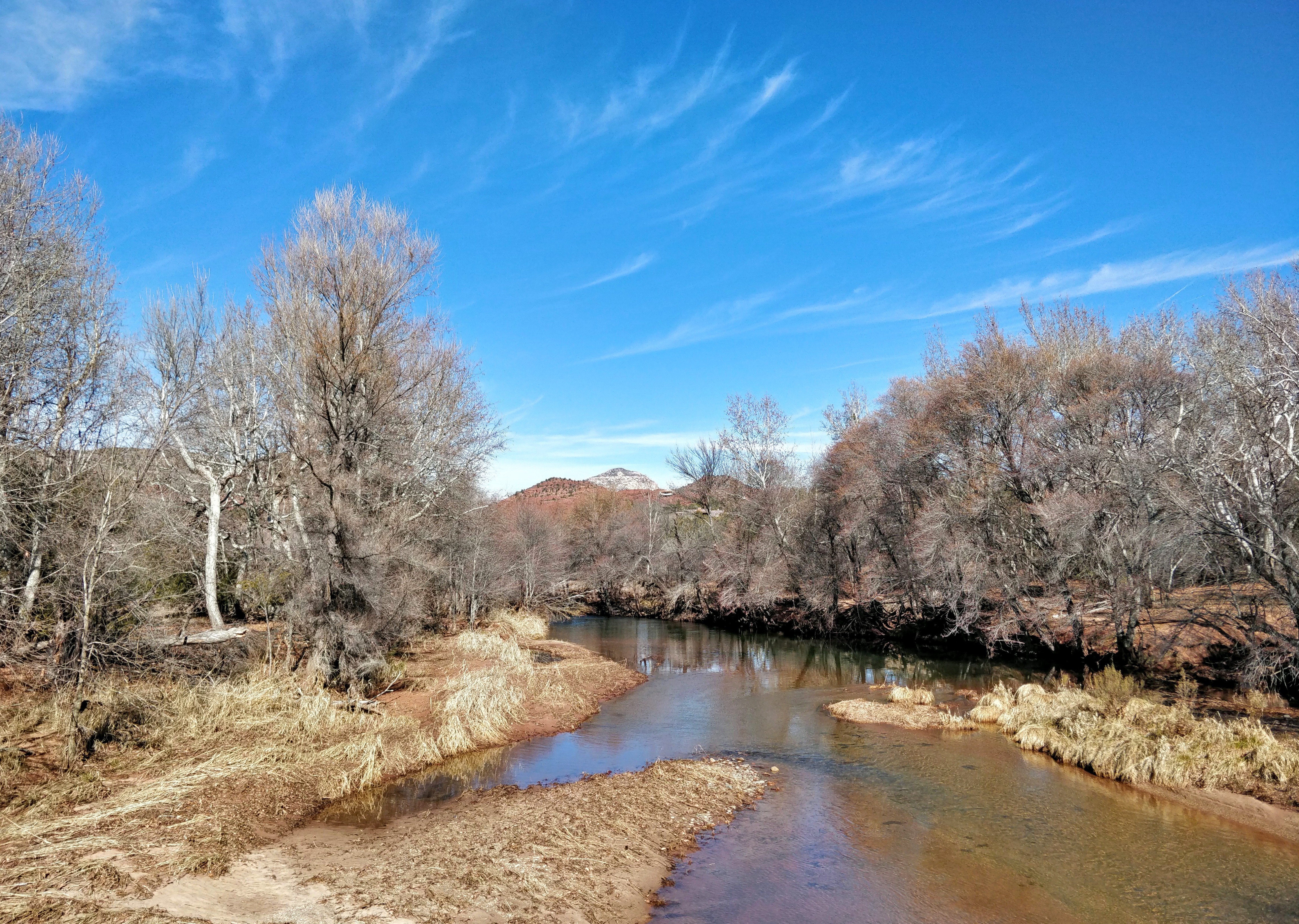 The creek at Red Rock State Park with bare, winter trees surrounding it.