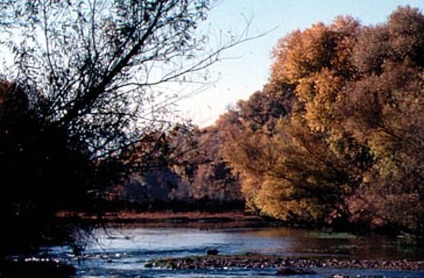 Early Fall on the river in 1986