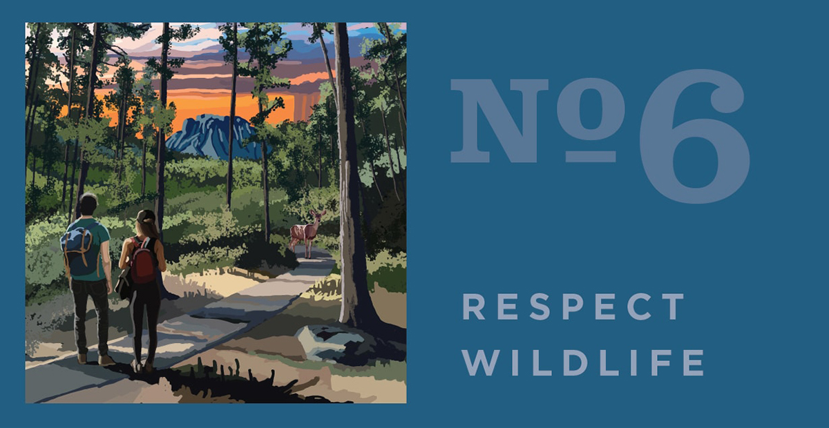 Respect wildlife. Recreate Responsibly and Leave No Trace LNT