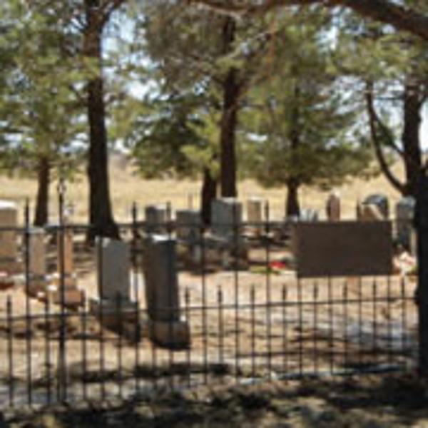 A historic cemetery surrounded by pine trees and a wrought iron fence overseen by Site Stewards